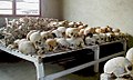 Image 3Original caption states: "Deep gashes delivered by the killers are visible in the skulls that fill one room at the Murambi School." Aftermath of Rwandan genocide.