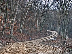 Along a road in northwestern Sunfish Township