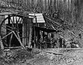 Alturas Gold Mining Company, Stout's Gulch, Lowhee Creek. 1867-1868.