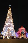 Lisbon, Portugal, 75 metres (246 feet) Christmas tree.