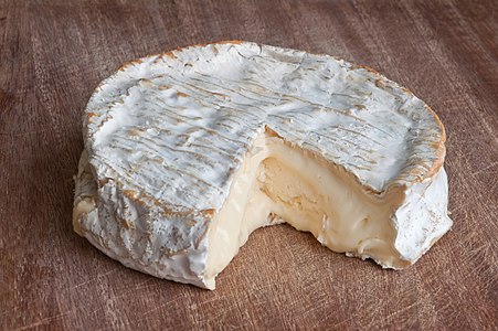 Coulommiers cheese, by Myrabella