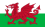 The Flag of Wales/Cymru