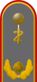 Generalarzt (Army Dental Officer with the equivalent rank of Brigadier General)