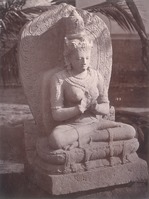 Sculpture of Tara in a museum in Yogyakarta