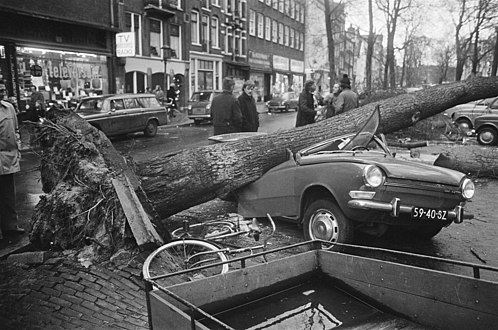 Fallen tree after storm in January 1976 Elandsgracht, Amsterdam