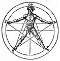 Man inscribed in a pentagram, from Heinrich Cornelius Agrippa's De occulta philosophia libri tres. The five signs at the pentagram's vertices are astrological.