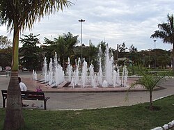 Oscar Cardoso square