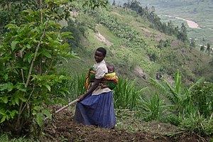 Eine Mutter arbeitet auf einem der vielen Hügel Ruandas mit ihrem Kleinkind auf dem Rücken