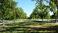 Tree Walk, part of Fresno State's arboretum