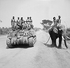 255th Indian Tank Brigade encounter elephant near Meiktila