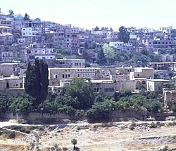 Hasbaya Citadel