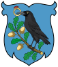 Coat of arms of Hunyad