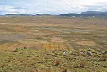 Photo of a grassy meadow with a group of tumbled stones in the middle