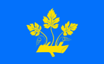 Flag of Stavanger Municipality