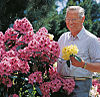 Rhododendronzüchter Hans Hachmann