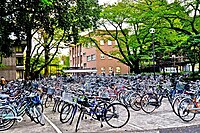 There are students who ride bicycles on the wide ICU campus.