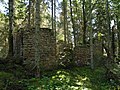 Ruins of an old manor (built in early 1800s).