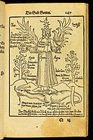 Pandora, das ist, Die edleste Gab Gottes, 1582