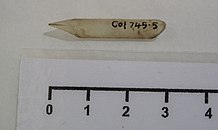 Picture of a quill nib.