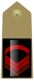 Sergente (Italian Army)[48]