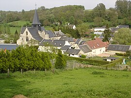 A general view of Selens