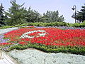 Image 6Flag of Turkey, from flowers
