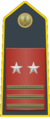 Sub-lieutenant special class (Ispettore - Luogotenente cariche speciali) (Chief Warrant Officer 5); commands Lieutenant Units (Stations).