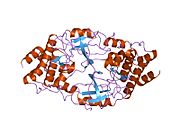 1k2p: Crystal structure of Bruton's tyrosine kinase domain