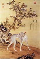 One of a series in Ten Prized Dogs, painted by the Giuseppe Castiglione