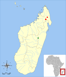 Map of Madagascar showing localities where Voalavo species have been found