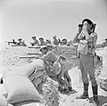 Image 54British infantry near El Alamein, 17 July 1942 (from Egypt)