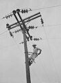 Image 54A Rural Electrification Administration lineman at work in Hayti, Missouri in 1942. (from History of Missouri)