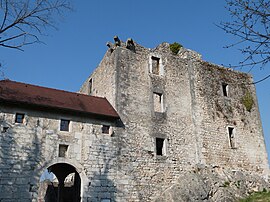 Chateau of Rochefort sur Séran