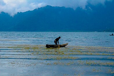 Fisherman in Lake Atitlán