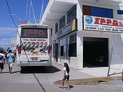 One of a few bus companies on the main street in Mancora