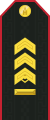 Mongolian Army-MSG-service