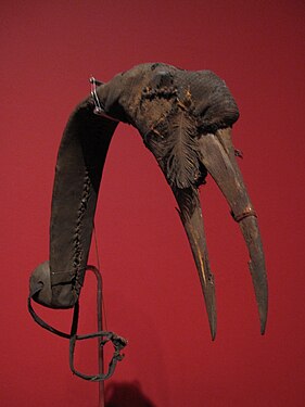 Burtu wooden mask, used during bird hunting; Museum of Ethnology, Vienna. The hunter would tie the mask around his head and imitate the bird's movement.