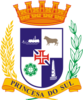 Official seal of Pelotas