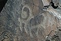 Petroglyphs in Tamgaly