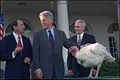 President Bill Clinton at the 11th annual pardoning of the Thanksgiving turkey, 1999