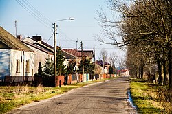 Houses in Dąbrowa