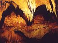 Khao Bin bat cave