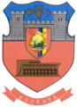 The coat of arms of the municipality of Suceava during communist times