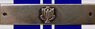 Southern Cross Medal and Bar