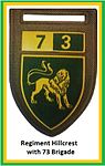 SADF 7 Division 73 Brigade Regiment Hillcrest Flash