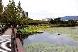 Yeonji Park in Gimhae