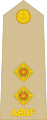 First lieutenant (Antigua and Barbuda Regiment)[6]