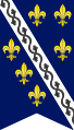 Royal banner of the Kingdom of Bosnia