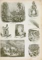 Image 18An illustration of brewing and distilling industry methods in England, 1858 (from Liquor)