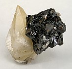 Tan crystal of calcite attached to a cluster of black sphalerite crystals
